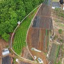 단원농장 이미지