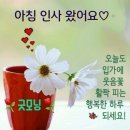 새해에 새아침에 나에게 주는 용기 / 나에게 힘을 주소서 이미지