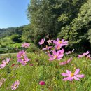 상백경로당 이미지