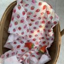 더나은딸기