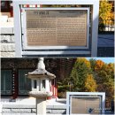 {대구시 동구} 팔공산단풍절정시기 // 팔공산단풍실시간정보 // 팔공산 부인사 가을 풍경
