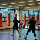 마루GYM 복싱&크로스핏 이미지