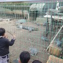 용아농장 이미지