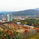 엑스포길 이미지