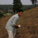 대곡민박 이미지