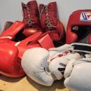 마이 복싱 짐 이미지