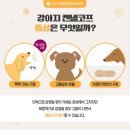 하나켄넬 이미지