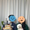 토라비 - 포천시 화동로1063번길 22 | [서울/홍대] 토라비 파블로바 케이크 솔직후기