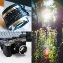 수동초등학교 | 혹시 플레어 좋아하세요? | 보이그랜더 NOKTON Classic 40mm F1.4 Single Coating 간단 리뷰 및 작례