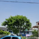 압량읍사무소 이미지