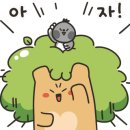 씨지아이 이미지