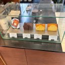 약수공원 | [서울 카페] 코시아커피 약수점 핸드드립 맛집 내돈내산 후기