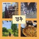 (주)경주월드 노동조합 | [경주] 경주 1박2일 여행 w.경주월드