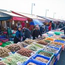 바다와솔숲 이미지