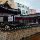 오원석 황금동물병원 | 대구중구동물병원/오원석황금동물병원/정보