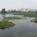 둔전5리 | [문화포털] 정조의 발상전환, 둔전을 경영하라! &#39;수원 만석거와 축만제&#39;