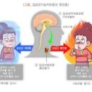 갑상선기능 저하증 원인 갑상샘 안좋은음식 이미지