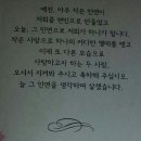 손용문