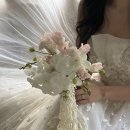 플라워스튜디오소화 | 부산웨딩촬영부케 후기예요 :) 알마스튜디오 + 제러브플라워 부케 후기