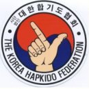 대한합기도 파이낸셜신문