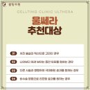 셀팅의원 이미지