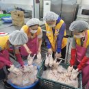 풀토래(주) 이미지