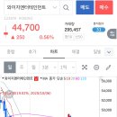 와이지푸드