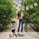 트리앤팜 이미지