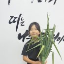 이룸태권도장 이미지