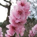 생각나무자연학교 이미지