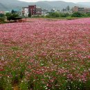 광주도자기엑스포장 이미지