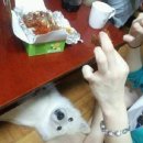 신용산역 이미지