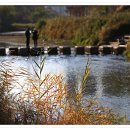 징검다리 이미지