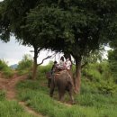 클럽몬스터(CLUB MONSTER) 이미지