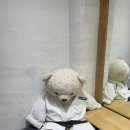 파이널 태권도 멀티짐 이미지