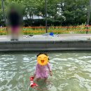 잠실6동주민센터 | 송파구 물놀이장 성내천 물놀이장 아기랑 다녀온 후기