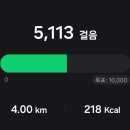 현중 일지 이미지