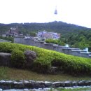 명보치과의원 Daum카페