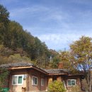 진동너와촌뜰사랑채 이미지