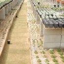 우암농장 이미지