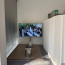 효령로34길 25 (2) | [결혼 준비] 예랑이 관점 식물관 PH 웨딩홀 상담 후기 | 견적•당일 계약 혜택 | 수서 밝은 홀 | 커스텀...