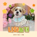 나와놀개 이미지