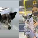 럭키동물병원