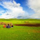 초원컴퓨터 이미지