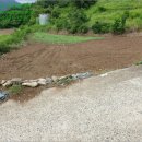 남해-309 이미지