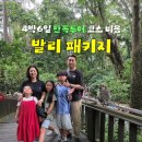 한샘청동공원 내 고 | 발리 패키지 여행 4박6일 단독투어 코스 비용