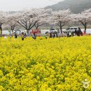 맹방관광지 이미지