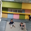 키크는나무