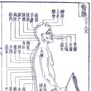 의명 의역학적 AI문답 예시 확실한 정보입력 이미지