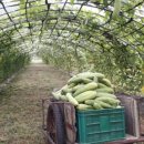 우슬농장 이미지